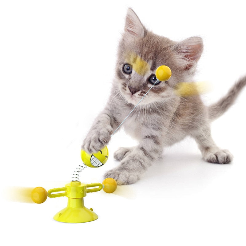 Have a Nice Day Smiley Face Feline Fidget Spinner