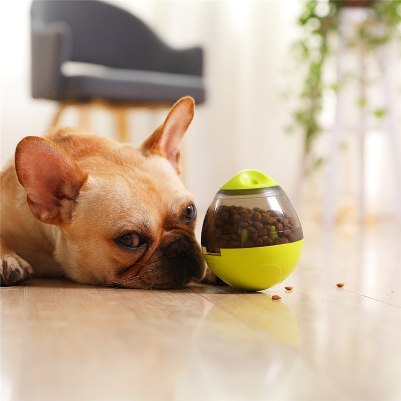 Wambuuzler Egg Treat Dispenser