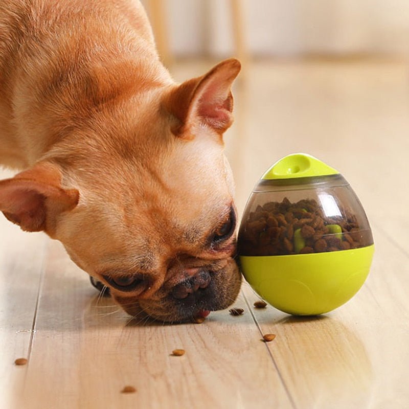 Wambuuzler Egg Treat Dispenser